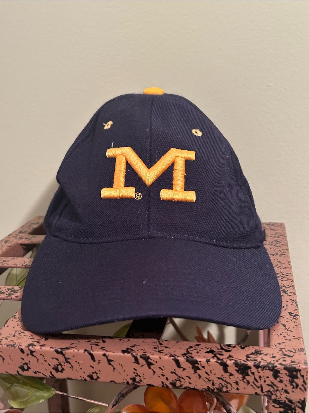 Vintage Y2K Zephyr The Hat Michigan Wolverines Fitted Cap 100% Wool Lids Sz. M/L